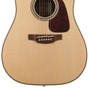 Takamine P5DC Acoustic-Electric Guitar - Natural (P5DCd3)