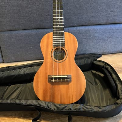 Acheter FLIGHT DUC450 UKULELE DE CONCERT MANGOWOOD + Housse