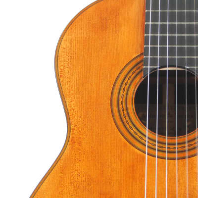 Antonio de Torres 1888 SE 113 by Wolfgang Jellinghaus - amazing sounding classical guitar - check description image 3