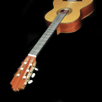 Luthier Built Torres Concert Classical Guitar - Cedar & Padauk image 3