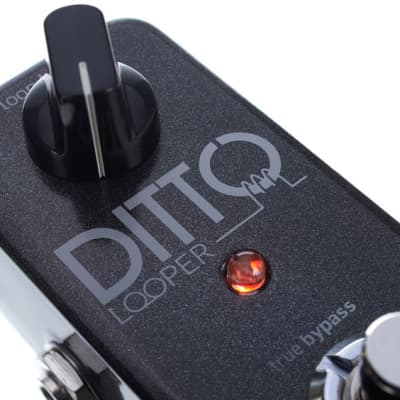 TC Electronic Ditto Looper image 8