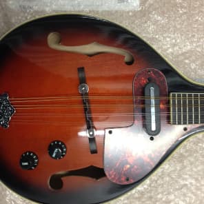 Samick SM20E エレクトリック マンドリン Samick SM20E Acoustic/Electric Mandolin | Reverb
