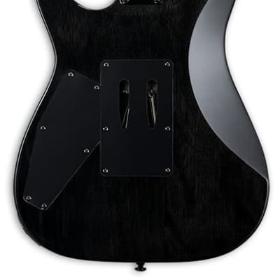 ESP LTD M-200FM Electric Guitar See Thru Black with Free Pro Setup image 2