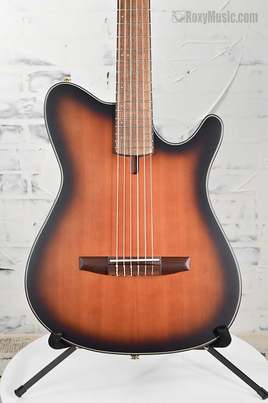 Ibanez FRH10NBSF Thinline Nylon Acoustic-electric Guitar - Brown Sunburst image 1