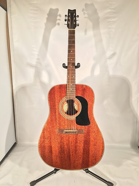 Washburn d10m top