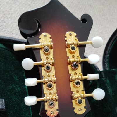 Ozark 2255 F style mandolin image 5