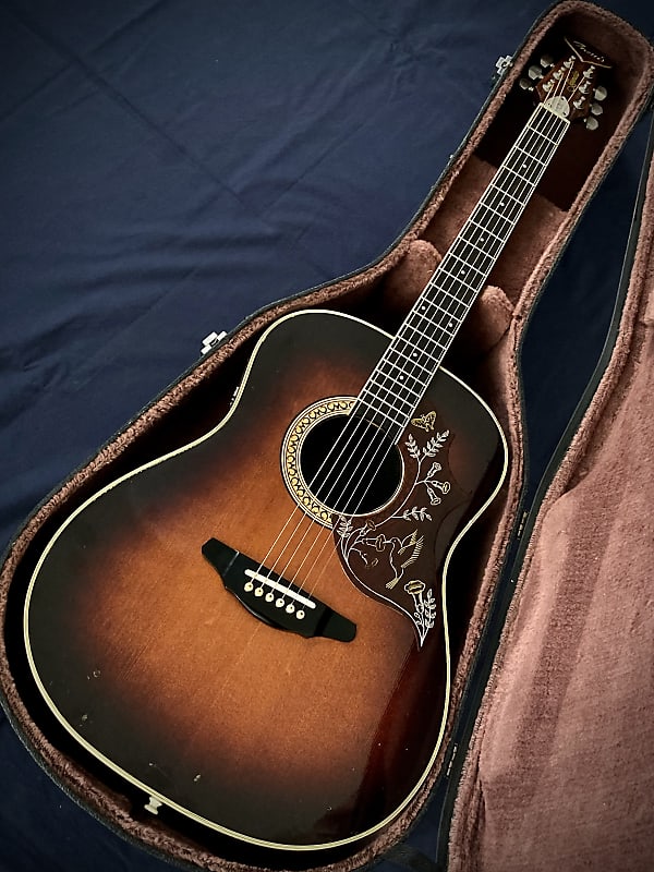 【トップ単板】Morris モーリス TORNADO GXD トップ単板】Morris モーリス TORNADO GXD
