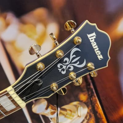 Ibanez AS73G-MPF Artcore 6-Str E-Guitar Metallic Purple Flat image 6