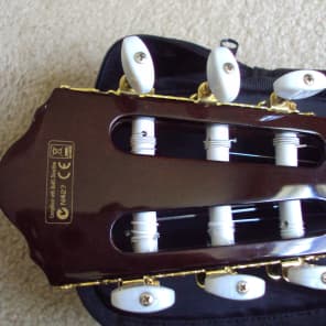 Ibanez AEG10NE Nylon String Cutaway Acoustic-Electric Guitar image 8