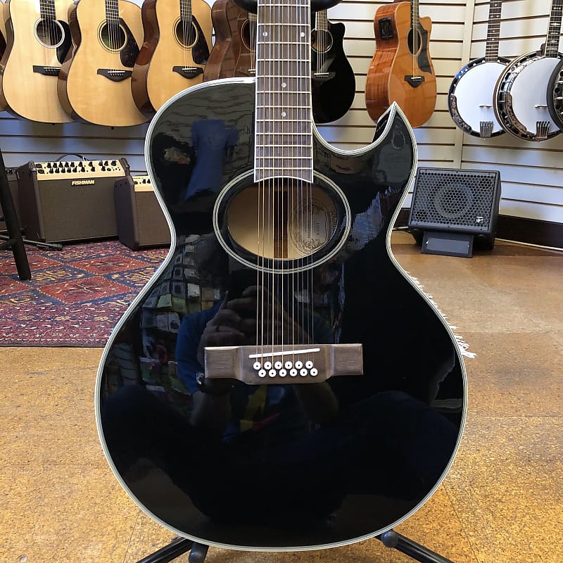 Washburn EA912-B 12-String Solid Top Acoustic-Electric Guitar | Reverb