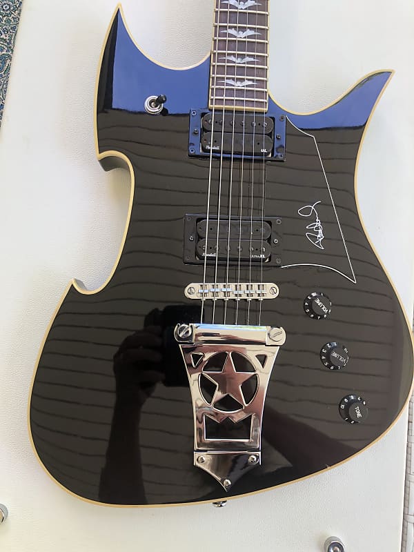 washburn PS1600 謎の。 washburn PS1600 謎の。 - メルカリ