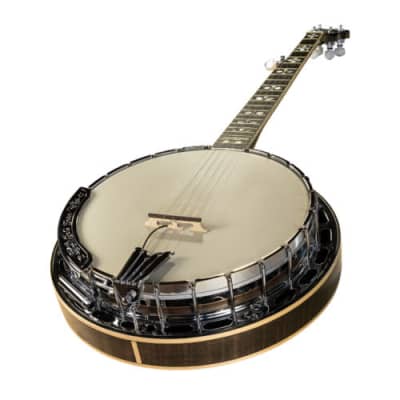 LR Baggs Banjo Folk Instrument Pickup New image 2
