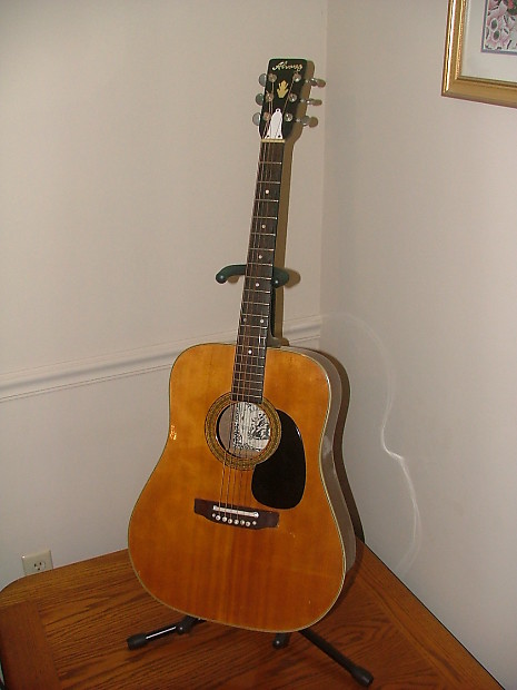 Alvarez 5023 online acoustic guitar