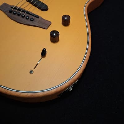 Fender Acoustasonic Player Telecaster 2022 - Butterscotch Blonde w/ case image 4