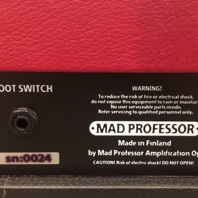Mad Professor MP-101 - 100 watt image 8