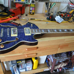 DIY  Kit Guitar 2014 Purple image 1