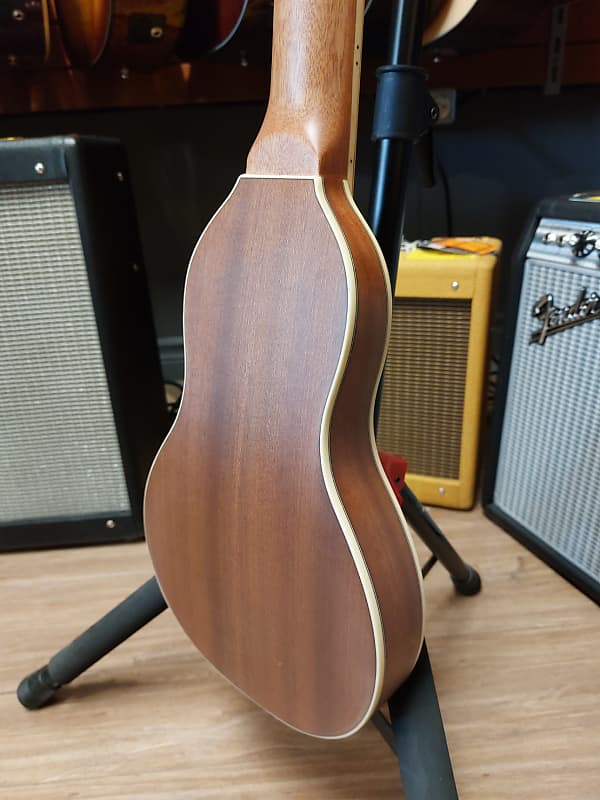 Washburn Rover RO10SK-A Avec Étui Souple - Naturel