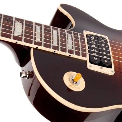 Gibson Slash Collection Les Paul Standard