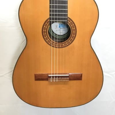 Di Giorgio Conservatorio NO 2 Acoustic Guitars 1980 - Wood for sale