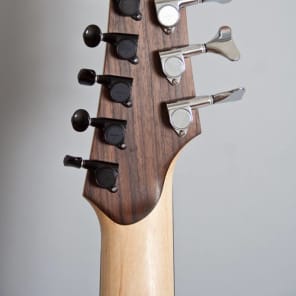Wes Lambe 8GT 2013 - Novax-style Charlie Hunter 8 String Fanned Fret Dual Output Hollow Guitar/Bass image 22