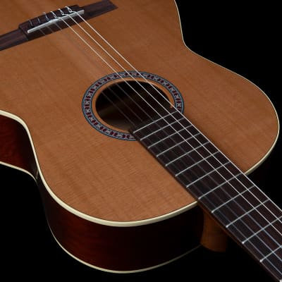 Godin Etude Nylon String Guitar image 4