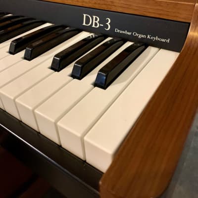 Viscount DB3 Drawbar Organ keyboard image 3