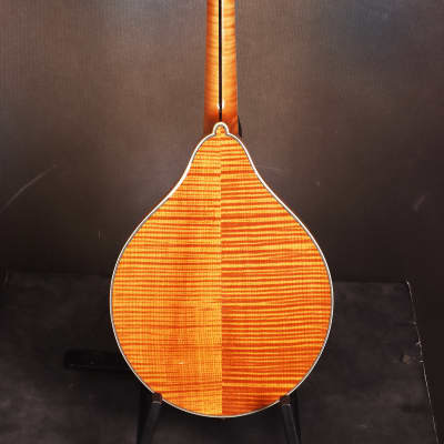 Bourgeois M5-A Aged A-style mandolin Brand New image 7