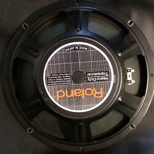 Roland jc 120 top speakers