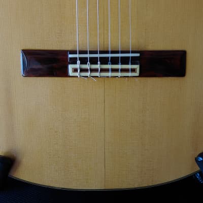 1989 Sobrino de Santos Hernandez Brazilian Rosewood Classical Guitar image 9