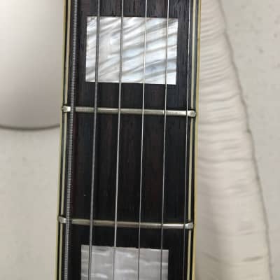 Teisco Vamper 1968 semi-hollow Rarest of the rare! image 4