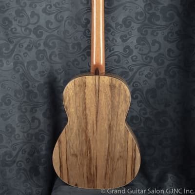 Raimundo Tatyana Ryzhkova Signature model, Spruce top classical guitar image 3