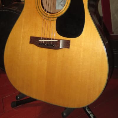 Vintage Original Circa 1971 CONN F-100 Acoustic Guitar image 1