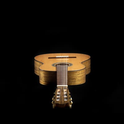 David Duyos - Cedar luthier handmade guitar - French Polish 2024 - French polish image 6
