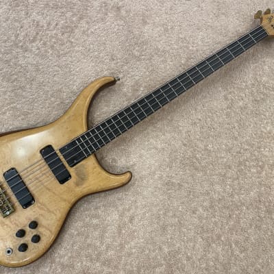 Alembic Orion 4Strings early 2000 - image 1