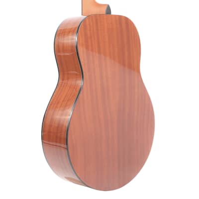 Gold Tone TG-18/L Mahogany Neck 4-String Acoustic Tenor Guitar w/Vintage Design & Gig Bag For Lefty image 9