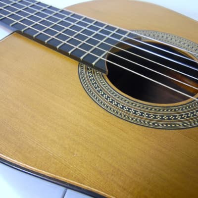 R.J. DiCarlo Master Craft Custom SpanishClassical Guitar w/ Case image 9