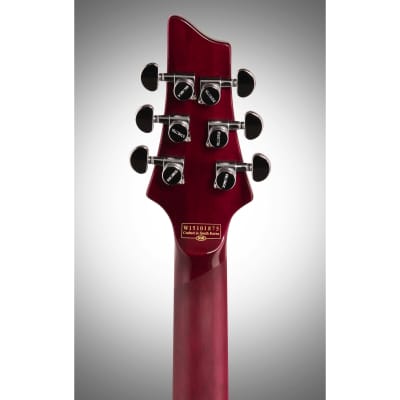 Agile 10 String Fan Fret Guitar w/ stainless frets & Fishman