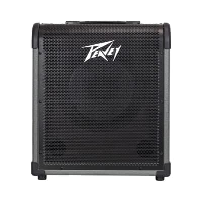 Warwick Cube 100 1x10