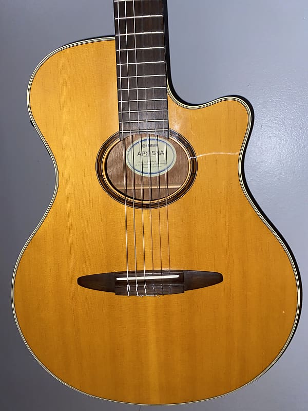Yamaha APX-5NA Classical-Electric Guitar | Reverb