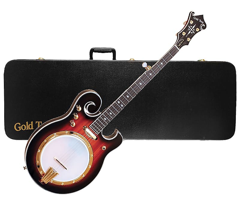 Gold Tone EBM-5 Electric Solid Body Maple Neck Mahogany Top 5-String Banjo w/Hard Case image 1
