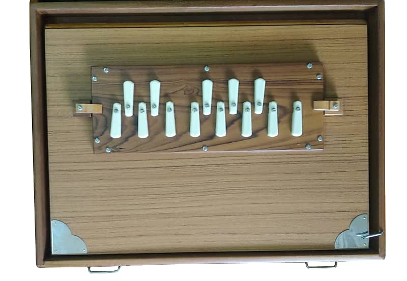 King of Shruti Boxes. Jumbo 16" CustomMade Monoj Kr Reverb Canada