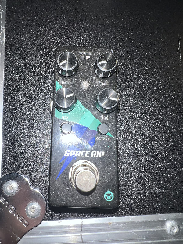 Pigtronix Space Rip