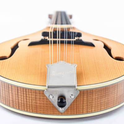 Bourgeois M5A Aged Tone Natural image 13
