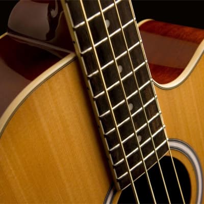 Washburn AB5K-A Acoustic-Electric Bass Guitar image 7