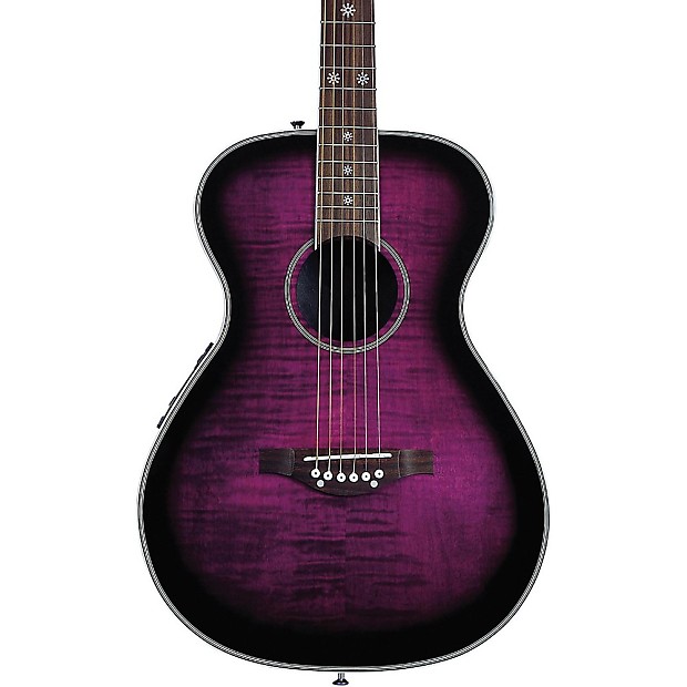 Daisy rock purple shop guitar