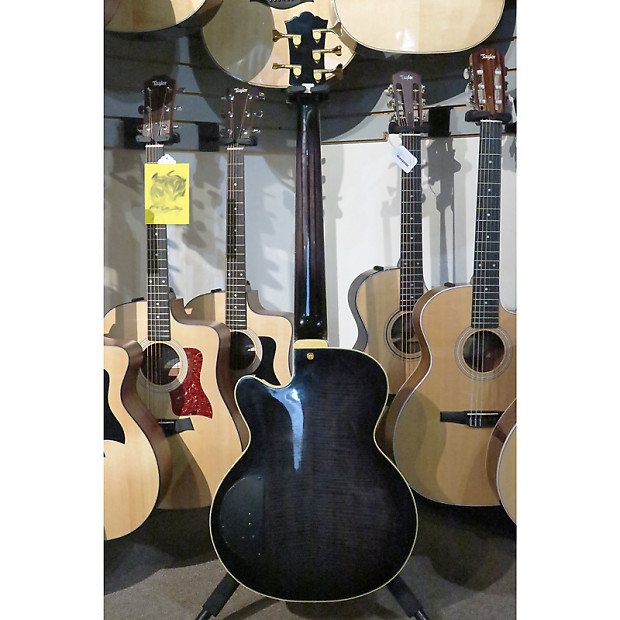Washburn Limited Edition One of a Kind AB45 5 String