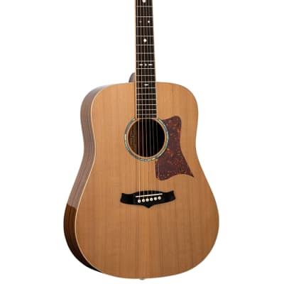 Acoustic Guitar TANGLEWOOD TW15/NS - Sundance Series - Dreadnought - all solid for sale