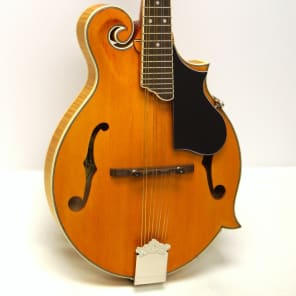 Epiphone MM-50E エレキ マンドリン エピフォン ハードケース Epiphone MM-50E エレキ マンドリン エピフォン ハードケース