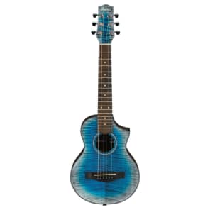 Ibanez ewp13dbo on sale