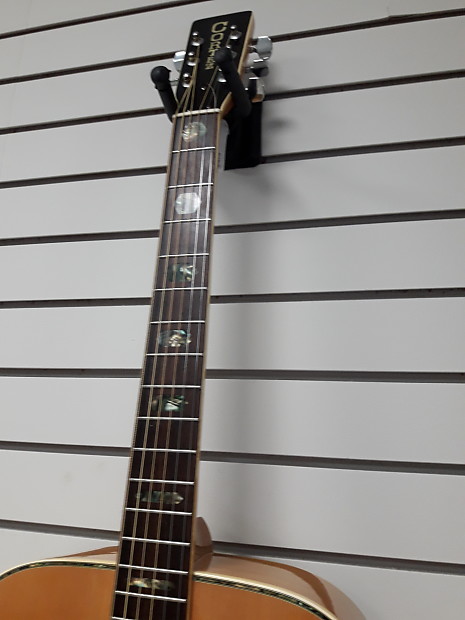 Cortez J 6500 acoustic guitar | Reverb Cortez J 6500 acoustic guitar | Reverb